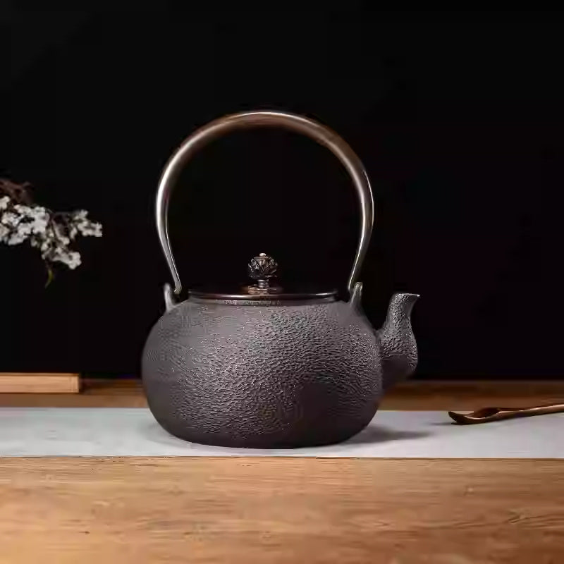 Handmade Iron Pot Chinese Lost-wax Casting Craft Cast Iron Teapot