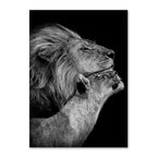 Black And White Lion Family Poster Canvas Print