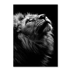 Black And White Lion Family Poster Canvas Print